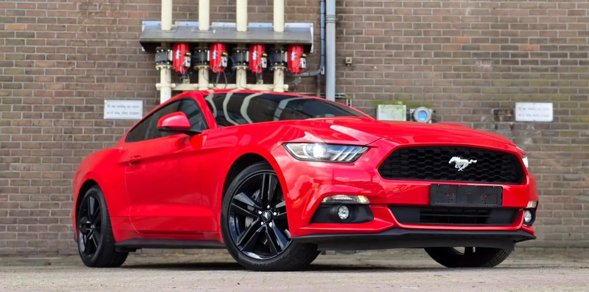Ford Mustang Fastback 2.3 Ecoboost Stage 1 340pk Mooi! Czerwony - 2
