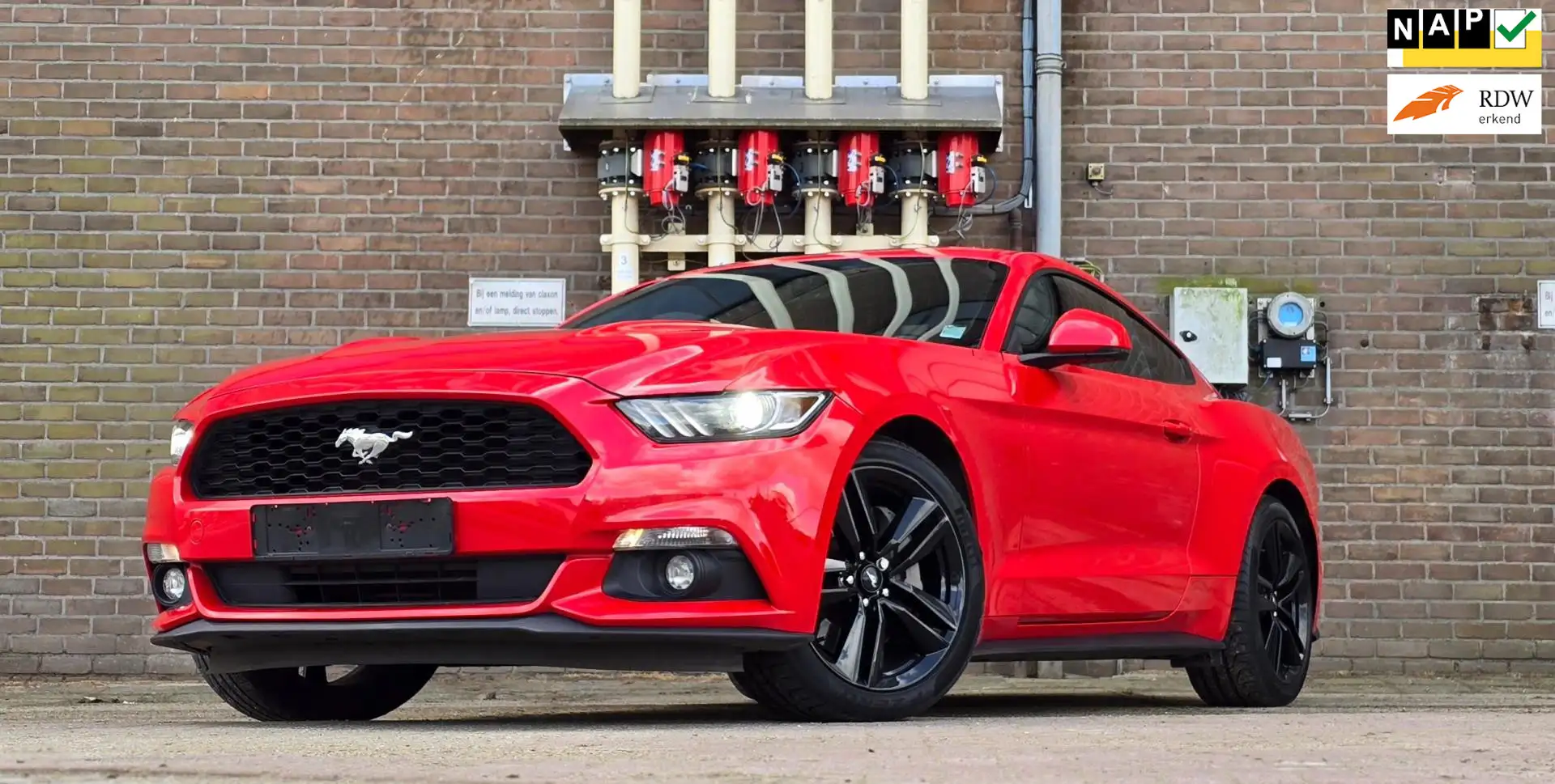 Ford Mustang Fastback 2.3 Ecoboost Stage 1 340pk Mooi! Czerwony - 1