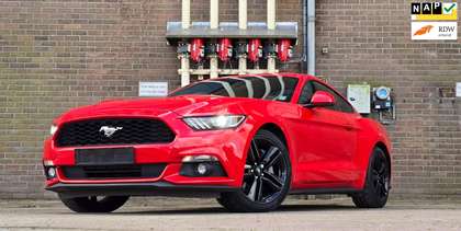 Ford Mustang Fastback 2.3 Ecoboost Stage 1 340pk Mooi!