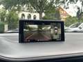 Audi SQ7 4.0 TDI*MATRIX*PANO*HUD*360*ACC*7.SITZE Schwarz - thumbnail 15