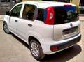 Fiat New Panda van Blanco - thumbnail 3