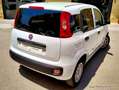 Fiat New Panda van Blanc - thumbnail 5
