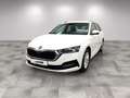 Skoda Octavia Combi Ambition 1.5 TGI DSG/LED/Nav/Sitzh Weiß - thumbnail 2