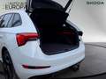 Skoda Scala 1.5 TSI DSG Monte Carlo AHK ACC Navi Kam PanoSHZ L Weiß - thumbnail 3