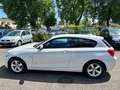 BMW 116 116 d Automatik Sport Line TÜV Neu Weiß - thumbnail 4