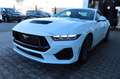 Ford Mustang 5.0 V8 GT Fastback MagneRide 4,99% FIN Weiß - thumbnail 4