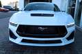 Ford Mustang 5.0 V8 GT Fastback MagneRide 4,99% FIN Weiß - thumbnail 3