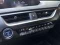 Lexus UX 250h Hybrid Business Nero - thumbnail 14
