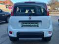 Fiat Panda Panda TwinAir 85 4x4 Wild Wild Weiß - thumbnail 6