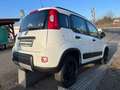 Fiat Panda Panda TwinAir 85 4x4 Wild Wild Weiß - thumbnail 37
