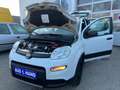 Fiat Panda Panda TwinAir 85 4x4 Wild Wild Weiß - thumbnail 17