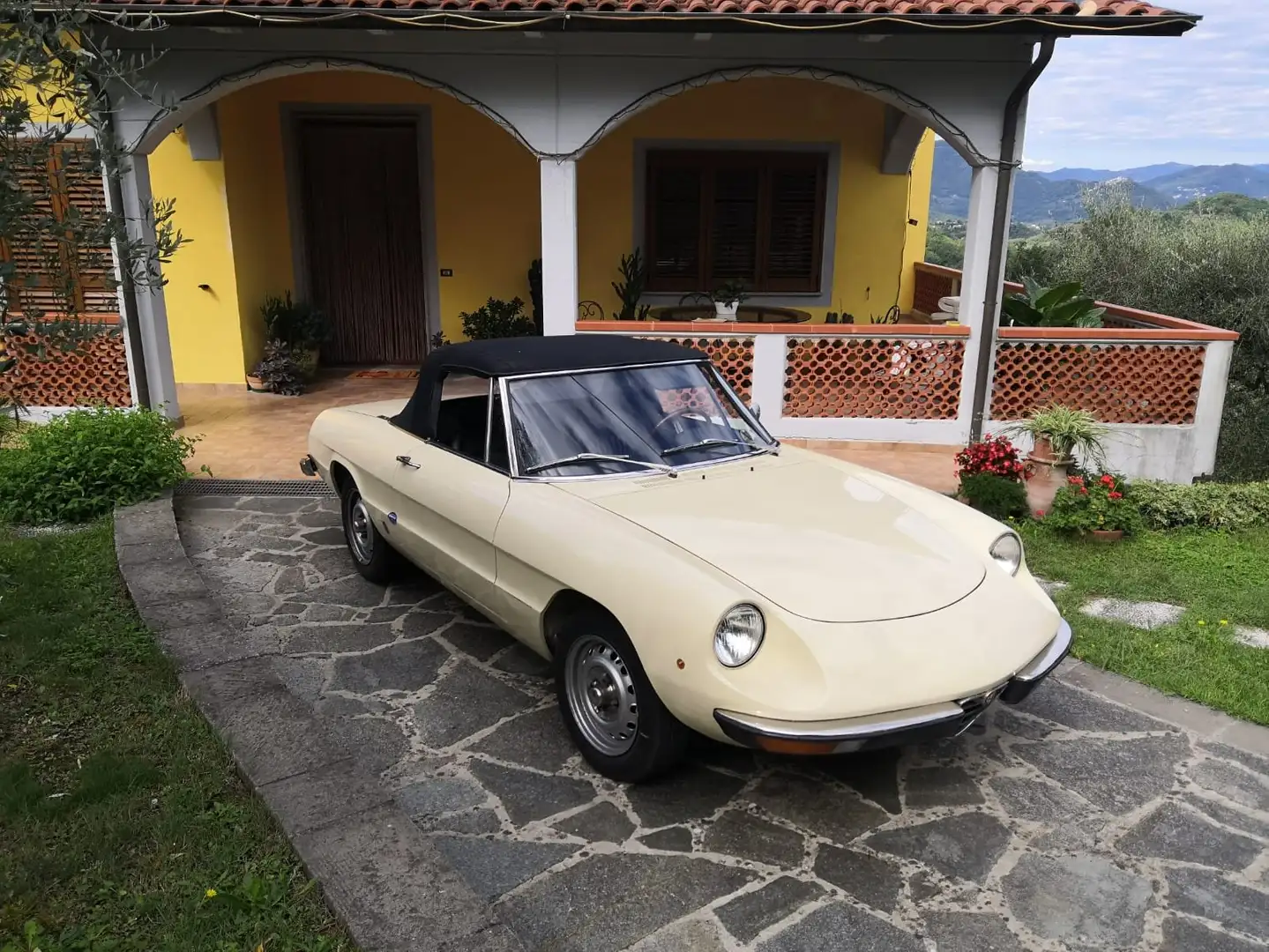 Alfa Romeo Spider 1.3 junior Beżowy - 1