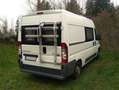 Caravans-Wohnm Peugeot Wohnmobil / neuer Motor ATM 10.600 km / Camper Blanc - thumbnail 3