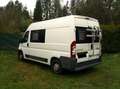 Caravans-Wohnm Peugeot Wohnmobil / neuer Motor ATM 10.600 km / Camper Blanc - thumbnail 1