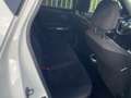 Nissan Juke Juke 1.5 dCi Acenta+Connect**EXPORT OU MARCHAND** Blanc - thumbnail 12