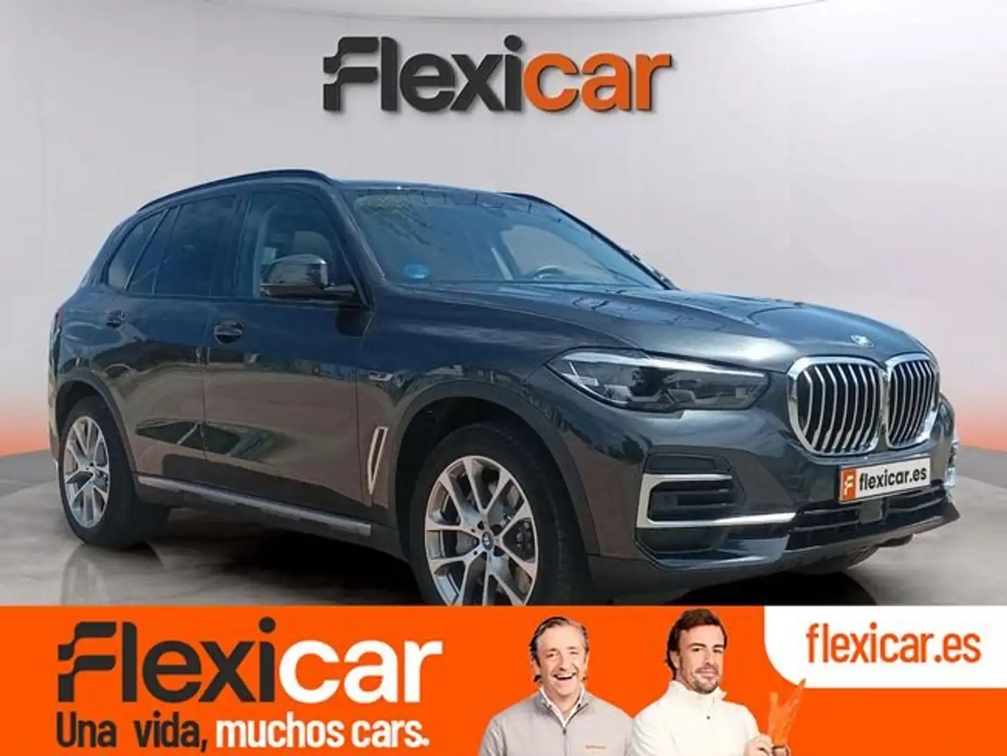 BMW X5 xDrive 45e Gris - 1
