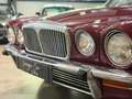 Jaguar XJ6 4.2 SOVEREIGN - Garantie 6 mois - Rot - thumbnail 8