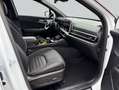 Kia Sportage 1.6T-GDI Hybrid AWD Aut. Spirit Weiß - thumbnail 11