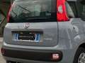 Fiat Panda III 2021 1.0 firefly hybrid s Gris - thumbnail 19
