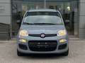 Fiat Panda III 2021 1.0 firefly hybrid s Gris - thumbnail 2