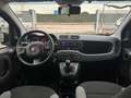Fiat Panda III 2021 1.0 firefly hybrid s Gris - thumbnail 10