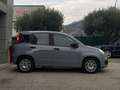 Fiat Panda III 2021 1.0 firefly hybrid s Gris - thumbnail 5