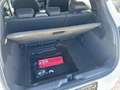 Ford Puma ST-Line Automatik Bluetooth Navi LED Klima Wit - thumbnail 24