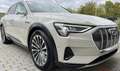 Audi e-tron 55 quattro 95kWh Advanced Goud - thumbnail 14