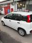 Fiat Panda 1.0 FireFly S&S Hybrid Weiß - thumbnail 20