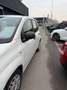 Fiat Panda 1.0 FireFly S&S Hybrid Weiß - thumbnail 3