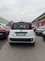 Fiat Panda 1.0 FireFly S&S Hybrid Weiß - thumbnail 5
