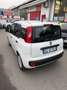 Fiat Panda 1.0 FireFly S&S Hybrid Weiß - thumbnail 12