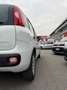 Fiat Panda 1.0 FireFly S&S Hybrid Weiß - thumbnail 8