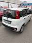 Fiat Panda 1.0 FireFly S&S Hybrid Weiß - thumbnail 7