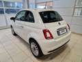 Fiat 500 1.0 70cv Ibrido Dolcevita Weiß - thumbnail 3