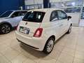 Fiat 500 1.0 70cv Ibrido Dolcevita Weiß - thumbnail 5