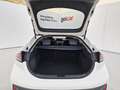 Hyundai IONIQ HEV 1.6 GDI Tecno Blanc - thumbnail 19