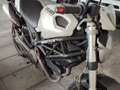 Ducati Monster 696 plus Blanc - thumbnail 1