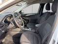 Ford Kuga 2.5 Duratec PHEV TITANIUM Blanc - thumbnail 11
