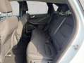 Ford Kuga 2.5 Duratec PHEV TITANIUM Blanc - thumbnail 18