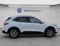 Ford Kuga 2.5 Duratec PHEV TITANIUM Blanc - thumbnail 8