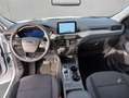 Ford Kuga 2.5 Duratec PHEV TITANIUM Blanc - thumbnail 14