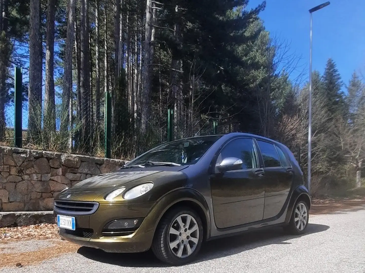 smart forFour 1.1 Passion Barna - 1