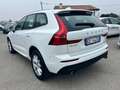 Volvo XC60 XC60 2.0 b4 Business awd auto my20 - GE144SD Bianco - thumbnail 4