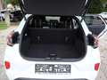 Ford Puma ST-Line Weiß - thumbnail 5