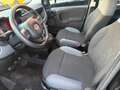 Fiat Panda 1.2 Easy Noir - thumbnail 10
