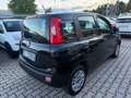 Fiat Panda 1.2 Easy Noir - thumbnail 4