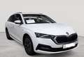 Skoda Octavia 2.0 TDI DSG Ambition LED Navi Bianco - thumbnail 1