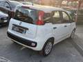 Fiat Panda 1.0 hybrid Easy s&s 70cv-iva esp-unipro-rate - thumbnail 8