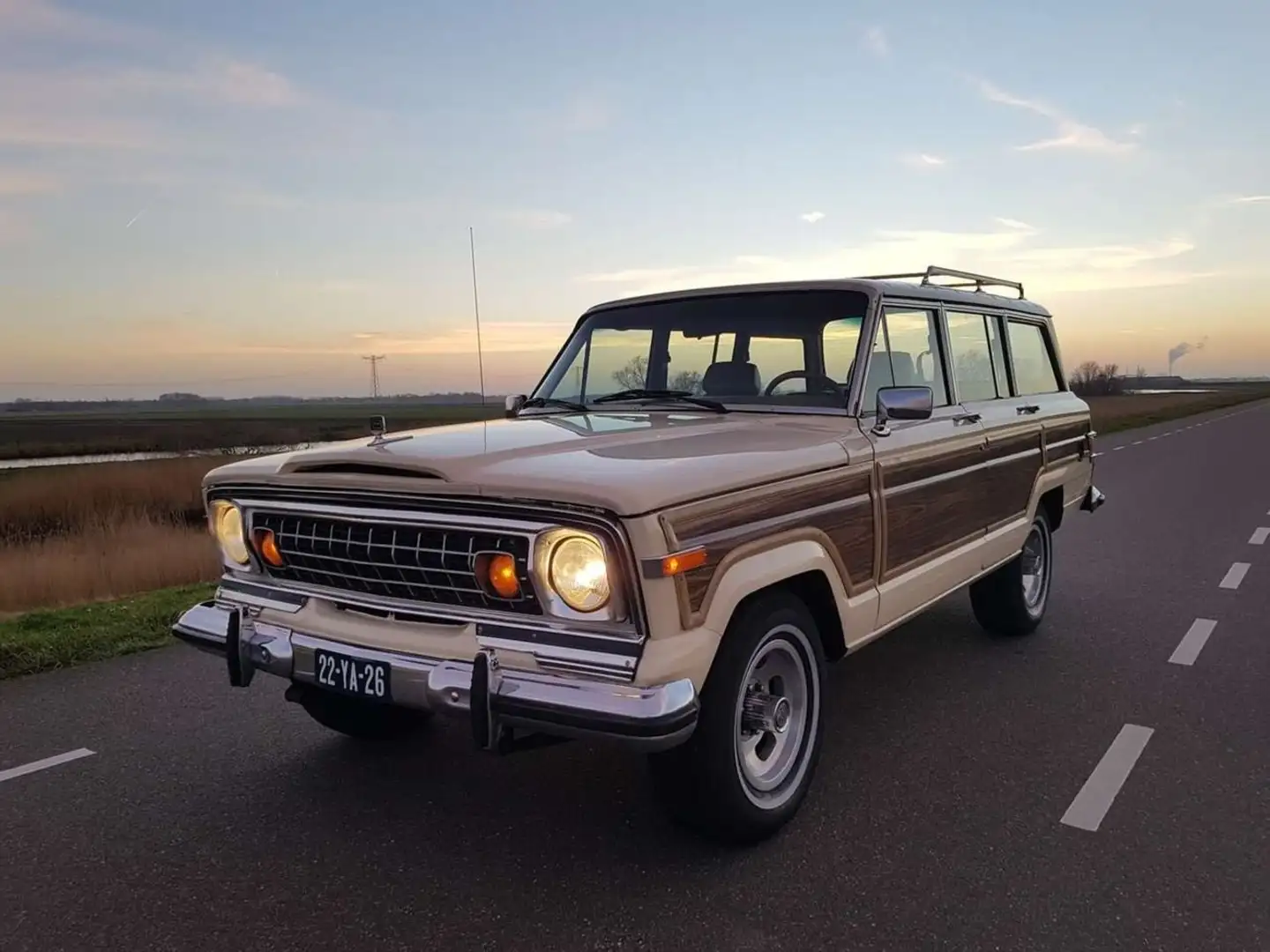 Jeep Wagoneer Wagoneer 5.9 V8 Limited Wagon Beige - 1